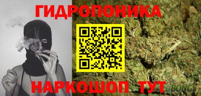 МДПВ Будённовск